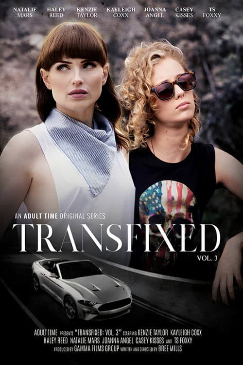 Transfixed 3 poster