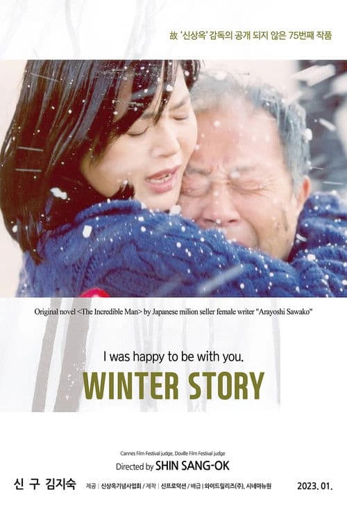 Winter Story poster