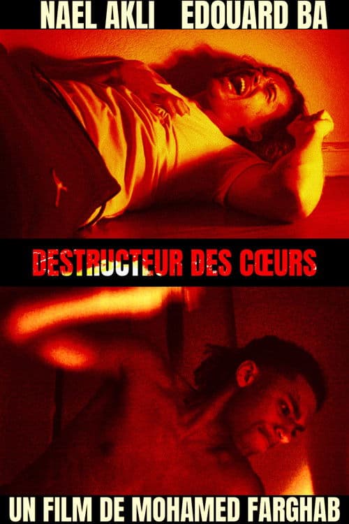 Destructeur des cœurs poster