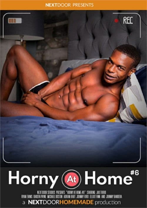 Horny at Home 6 poster