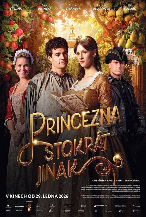 Princezna stokrát jinak poster