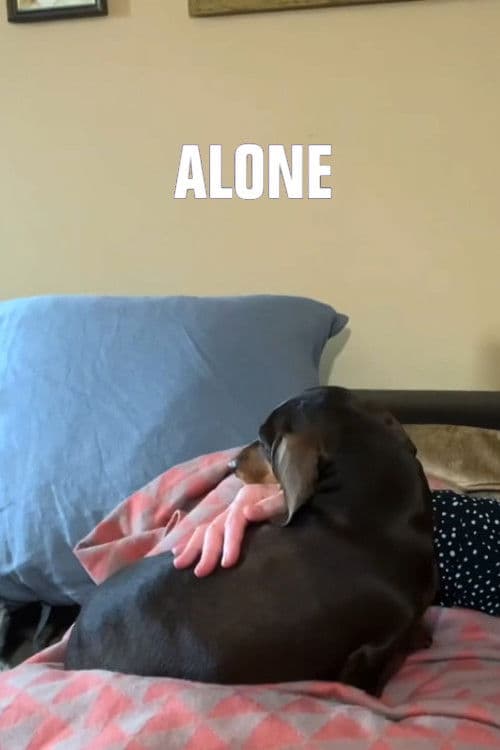 Alone poster