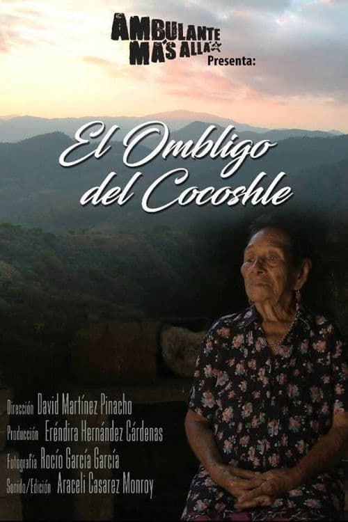 Collecting Steps poster