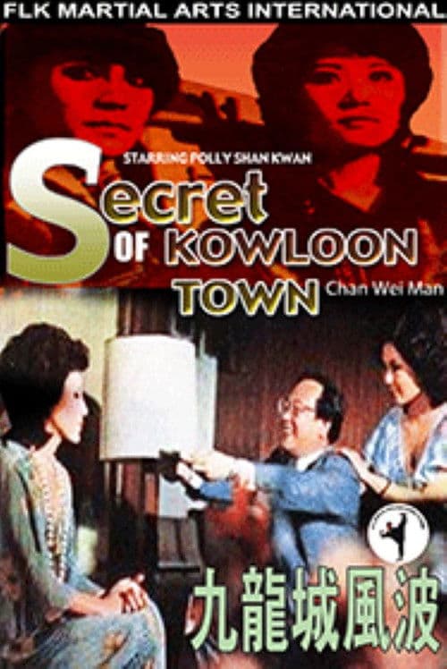 Secret of Kowloon Town poster