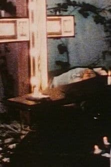 St. Pelagius the Penitent poster