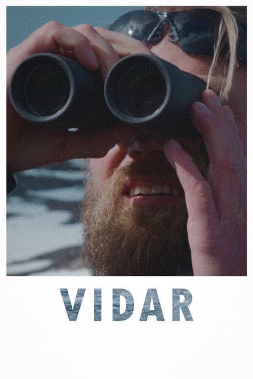 Vidar poster