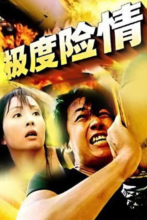 极度险情 poster