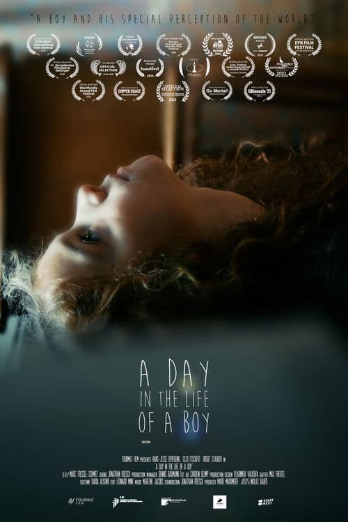 A Day in the Life of a Boy poster