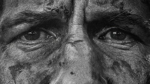 The Punisher: One Last Kill