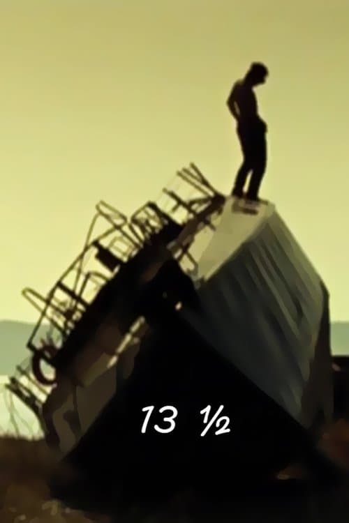 13½ poster