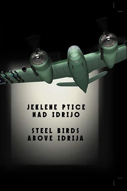 Steel Birds Above Idrija poster