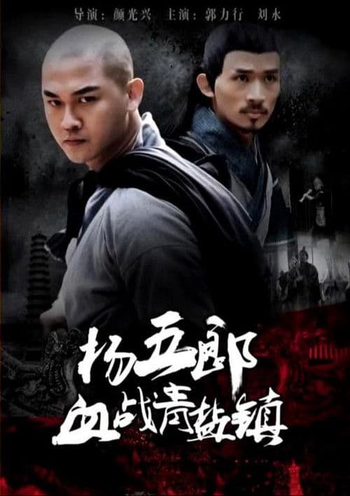 杨五郎血战青盐镇 poster