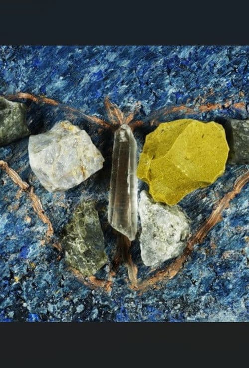 Vitruvian Moth poster