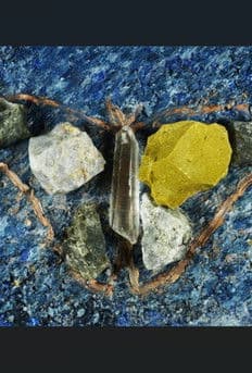 Vitruvian Moth poster