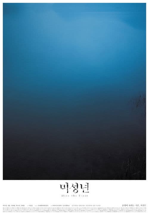 Miss the Train poster