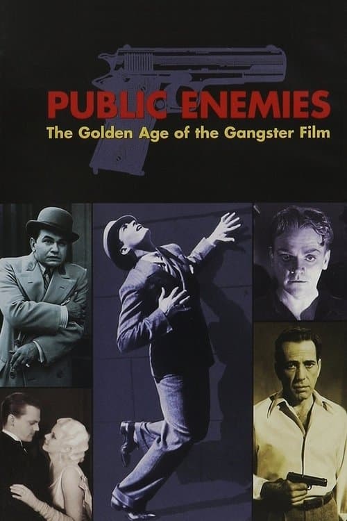 Public Enemies: The Golden Age of the Gangster Film poster