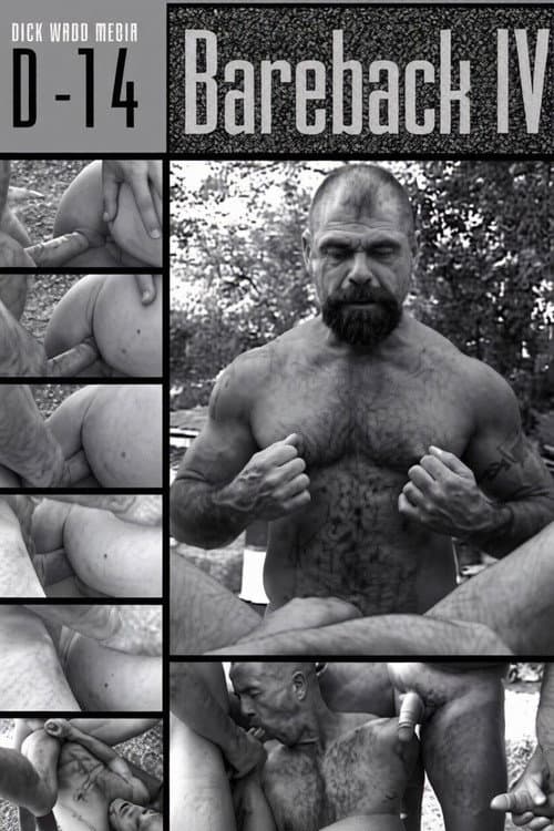 Bareback 4: Huge Poles, Hungry Holes poster