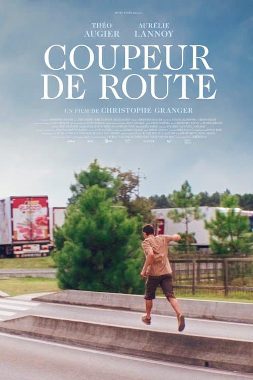 Roadtripper poster