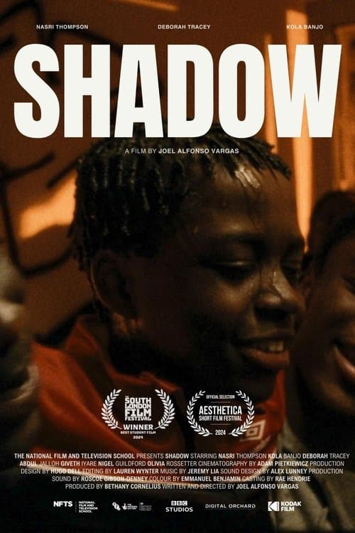 Shadow poster