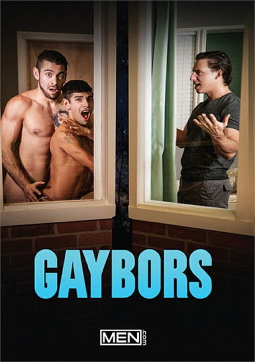 Gaybors poster
