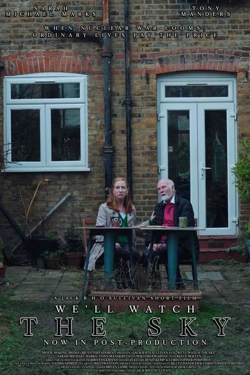 We'll Watch The Sky poster