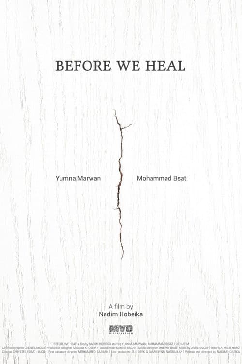 Before We Heal poster