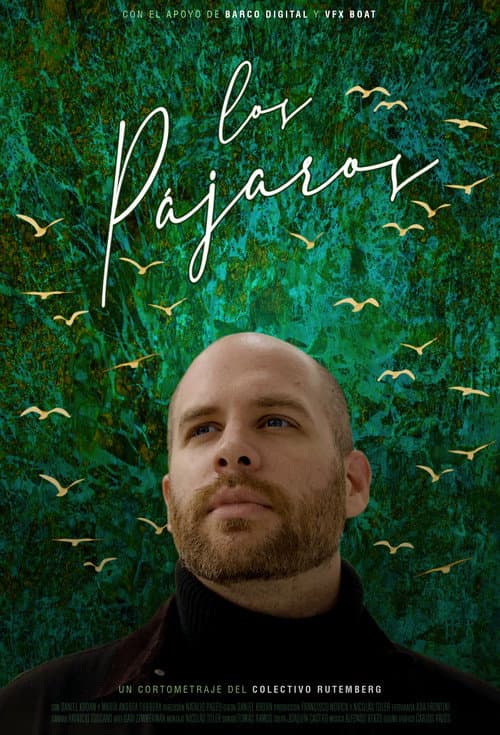 Los pájaros poster
