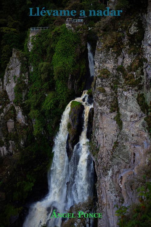 Llévame a nadar poster