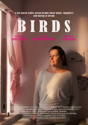 Birds poster
