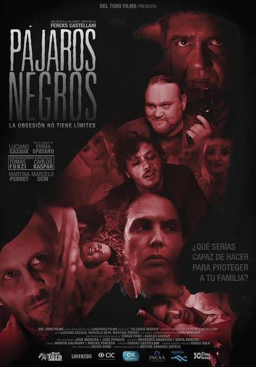 Pájaros negros poster