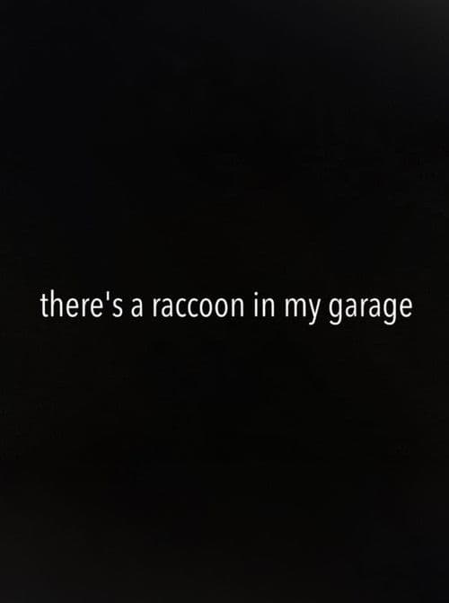 There's a Raccoon in My Garage poster