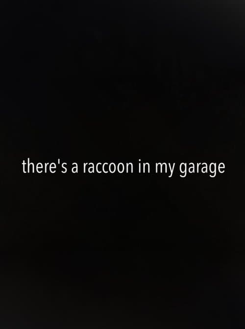 There's a Raccoon in My Garage poster