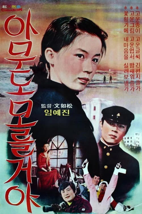 Nobody Knows poster