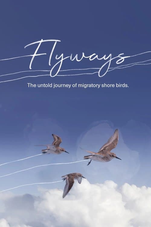 Flyways poster