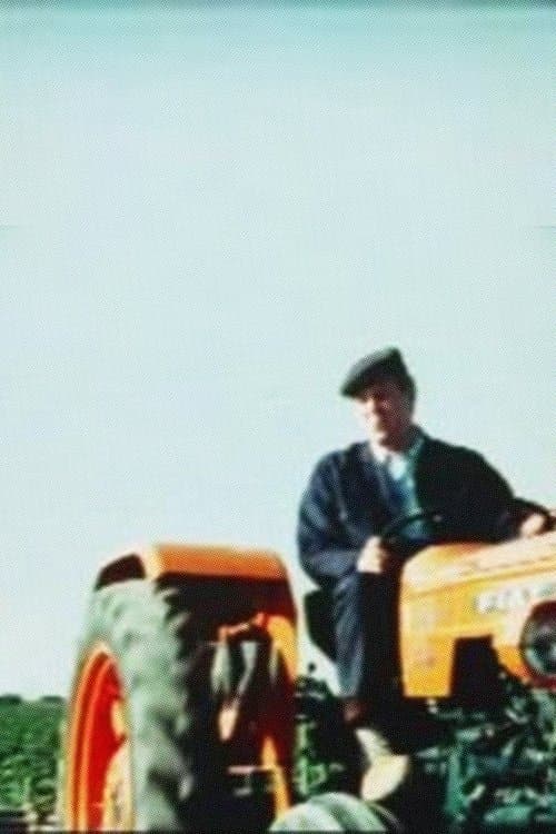 Summer in the Fields poster