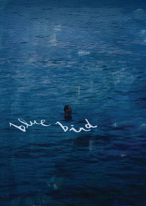 Blue Bird poster