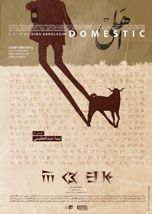 Domestic poster