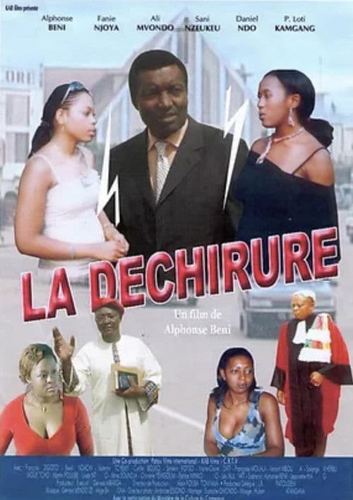 La déchirure poster