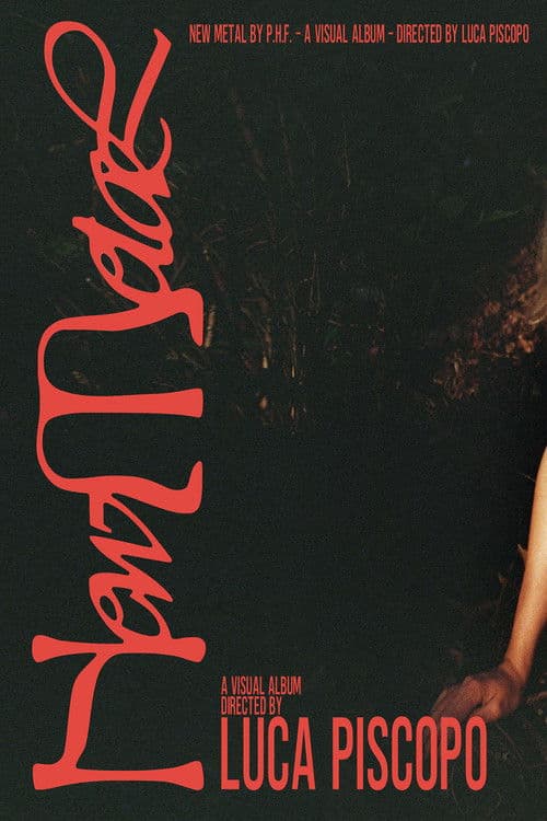 New Metal poster