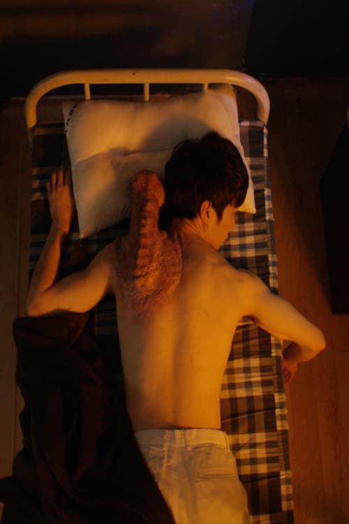 An Absurd Thing poster