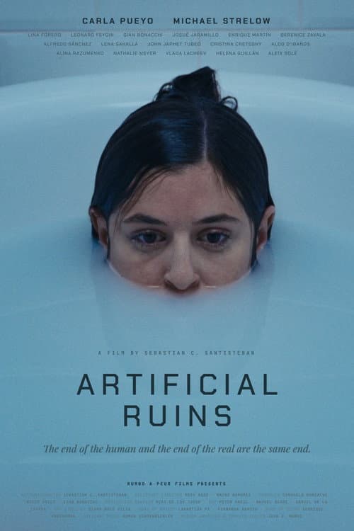 Artificial Ruins poster