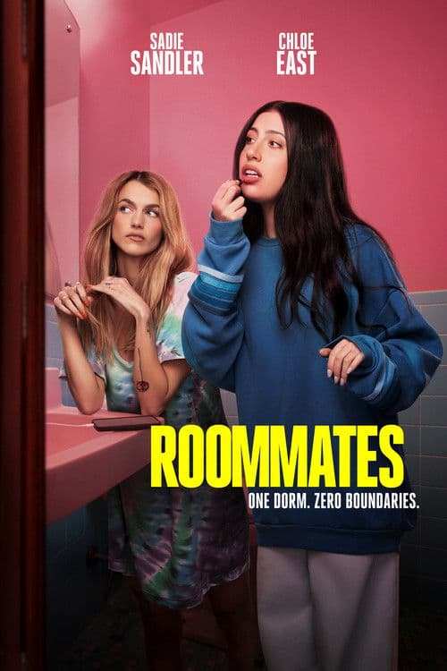 Roommates poster