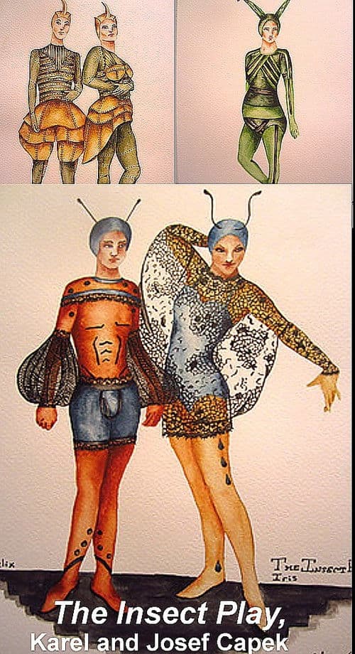 The Insect Play poster