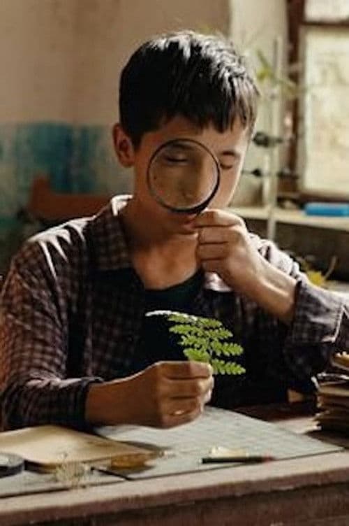 Jahseleh Yesl profile photo