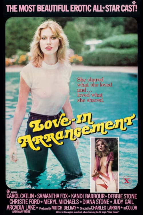 The Love-In Arrangement poster