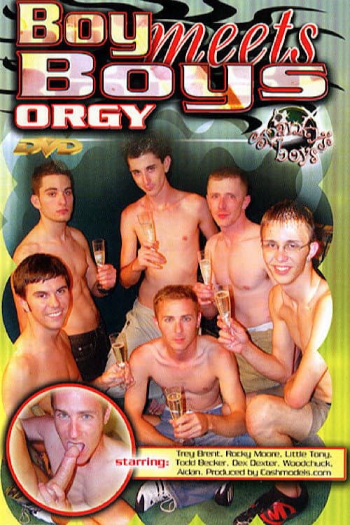 Boy Meets Boys Orgy poster