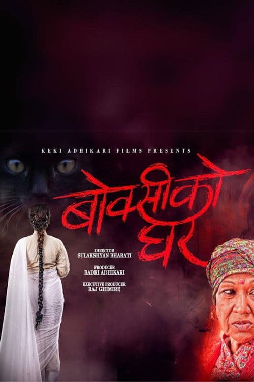 House of a Witch poster