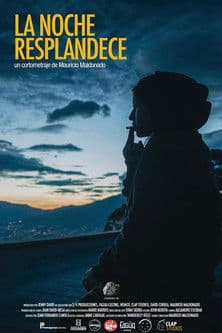 The Night Shines poster