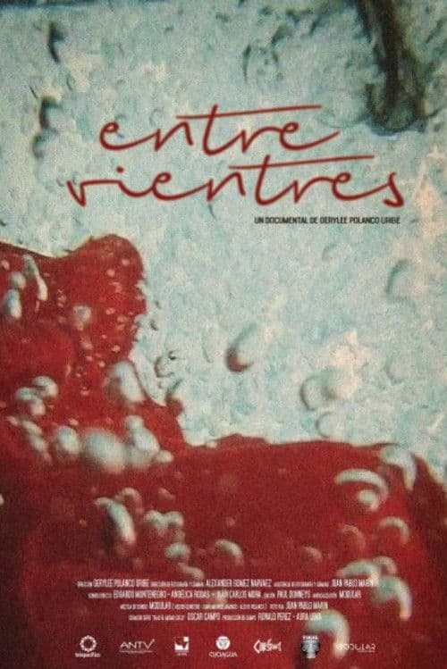 Entre Vientres poster