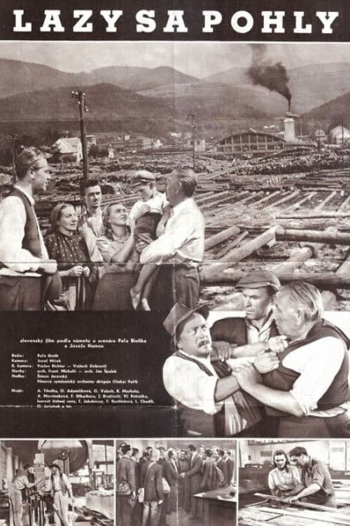 Lazy sa pohly poster